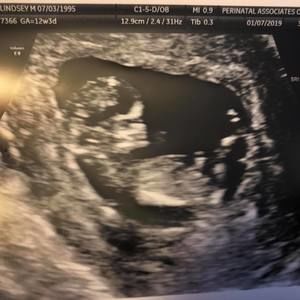 Meet your Posher, Lindsey